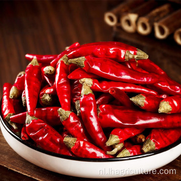 Rode chili gedroogde chilipepers voor potrestaurant